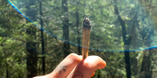 Understanding Bongs vs Joints: A Comprehensive Guide to Smoking Methods